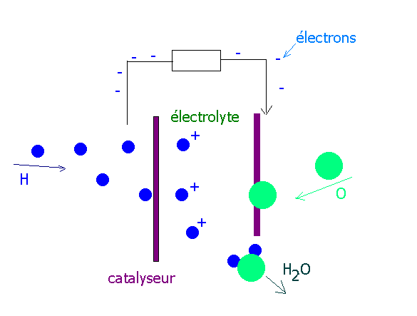 Pilec.gif (5360 octets)