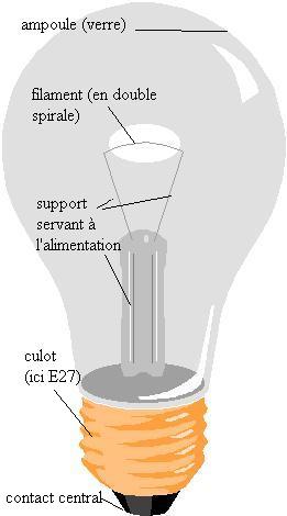 ampoule.jpg (15806 octets)